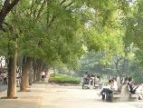 點擊查看原圖